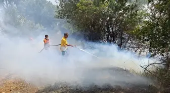 Balıkesir'deki yangın söndürme çalışmaları devam ediyor