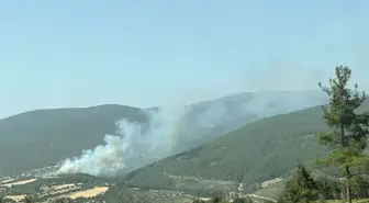 Balıkesir'de Orman Yangını: Havadan ve Karadan Müdahale Ediliyor