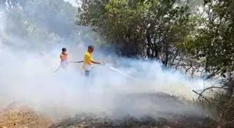 Balıkesir'de çıkan yangın ormana sıçradı