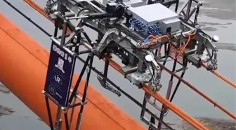 Çin'de geliştirilen robotlar köprü halatlarının denetimini yapıyor