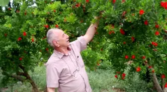 Emekli Polis Memuru Antalya'da Boğularak Hayatını Kaybetti