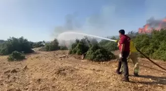 Kahramanmaraş'ta Orman Yangını Kontrol Altına Alındı