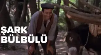 Şark Bülbülü filmi oyuncuları kim, konusu ne, sonu nasıl bitiyor? Şark Bülbülü filmi ne zaman, nerede çekildi?