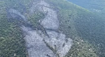 Balıkesir'deki yangın kontrol altına alındı