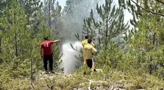 Kastamonu'daki orman yangınları kontrol altına alındı