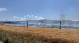 Kayseri'nin Develi ilçesinde tarım arazisinde yangın çıktı