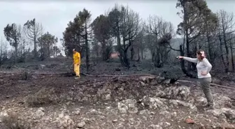 Balıkesir Kepsut'ta Orman Yangını Kontrol Altına Alındı