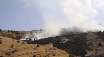 Muş'ta çıkan örtü yangını ekiplerin müdahalesiyle söndürüldü