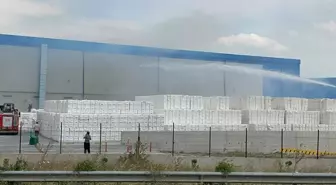 Sakarya'da kağıt peçete fabrikasında yangın çıktı