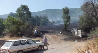 Tokat'ın Turhal ilçesinde anız yangını: 300 dekar ekili arazi zarar gördü