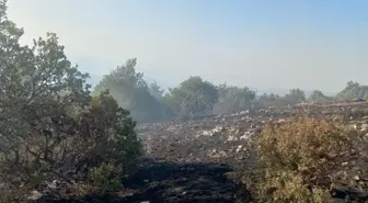 Tokat'ın Zile ilçesinde çıkan örtü yangını söndürüldü