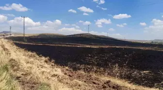 Sivas'ın Gemerek ilçesinde 70 dönümlük arpa ekili alan yanarak kül oldu