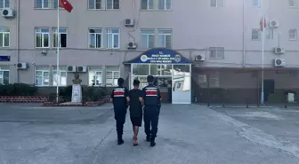 Aydın'da aranan şahıs jandarma tarafından yakalandı