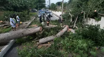 Beryl Kasırgası Karayip Ülkelerinde Can Kaybına Yol Açtı