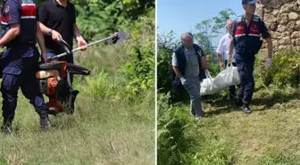 Oğlunun kullandığı çim biçme makinesi sonu oldu! Ayağı kesilen 72 yaşındaki kadın can verdi