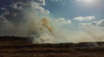 Silivri'de Buğday Tarlasında Yangın Çıktı