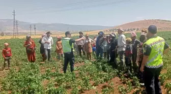 Gaziantep'te 357 Tarım İşçisine Trafik Güvenliği Eğitimi Verildi