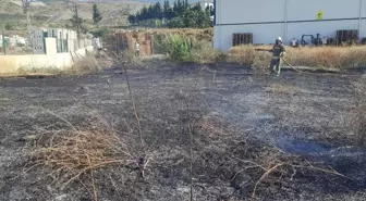 Hatay'ın Arsuz ilçesinde çıkan yangın söndürüldü