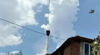 Aydın'da Son 5 Günde Çıkan Yangınlarda Ormanlık Alan ve Saman Balyaları Yanarken 14 Hayvan Telef Oldu