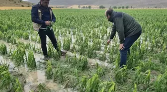 Bayburt'ta Dolu ve Sağanak Sonucu 4 Bin Dekar Ekili Tarım Alanı Zarar Gördü