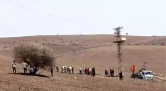 Diyarbakır ve Mardin'deki Yangının Çıkış Nedeni Araştırılıyor