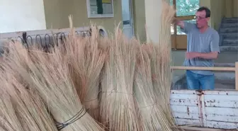 Edirne'de Yeni Mahsul Süpürge Telinin Kilogramı 77,85 Liradan Satıldı
