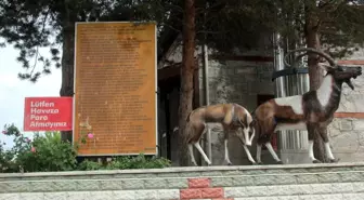 Erzincan'da Şifalı Gölün Kaynak Suyu İçiliyor