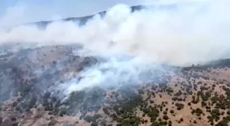 Manisa'nın Kırkağaç ilçesinde orman yangınına müdahale devam ediyor