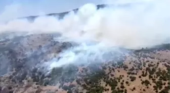 Manisa'da çıkan orman yangını kontrol altına alındı