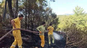 Muğla'da çıkan yangın kontrol altına alındı