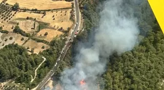 Muğla'da Orman Yangınına Havadan ve Karadan Müdahale