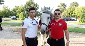 Gaziantep'te Atlı Polisler Parklarda Güvenliği Sağlıyor