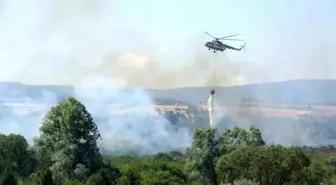 Yeniçağa Gölü çevresindeki sazlık alanda yangın çıktı