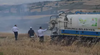 Çorum'un Dodurga ilçesinde anız yangını çıktı