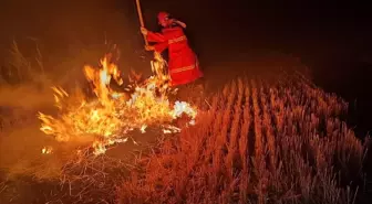 Iğdır'da çıkan anız yangını itfaiye ekipleri tarafından söndürüldü