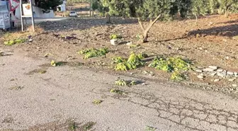 Kilis'te Şiddetli Yağmur ve Dolu Zarara Yol Açtı