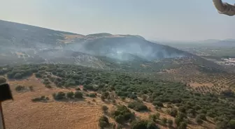 Manisa'da çıkan maki yangını kontrol altına alındı