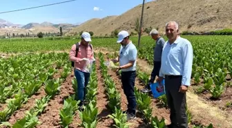 Adıyaman'da Tütün Hastalığı Taraması Yapıldı