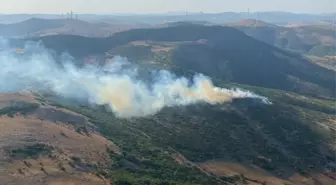 Balıkesir'de Ormanlık Alanda Yangın Çıktı