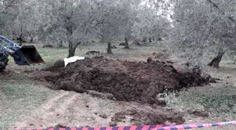 Orhangazi'de Zeytin Bahçesinde Cinayet Şüphelisi Koca İçin Kırmızı Bülten Çıkarıldı