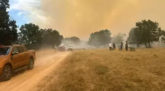 Edirne'nin Lalapaşa ilçesinde ormanlık alanda yangın çıktı