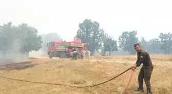 Edirne'de Bulgaristan sınırındaki yangına müdahale devam ediyor