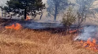 Edirne'nin Lalapaşa ilçesinde orman yangını çıktı