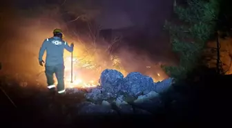 Mersin'de çıkan örtü yangını kontrol altına alındı