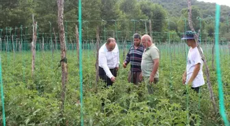 Tokat Pazar'da Tarım İncelemesi