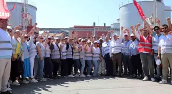 İzmir'deki Zeytinyağı Fabrikasında İşçilerin Grevi 31. Gününde