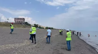 Ahlat'ta Van Gölü sahilinde çöp temizliği yapıldı