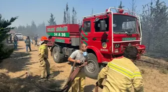 Babaeski'de Korulukta Çıkan Yangına Müdahale Ediliyor