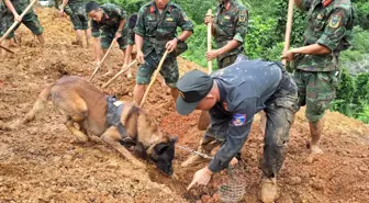 Vietnam'da toprak kayması sonucu dokuz kişi hayatını kaybetti