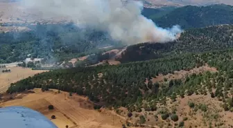 Balıkesir'deki Orman Yangını Kontrol Altına Alındı